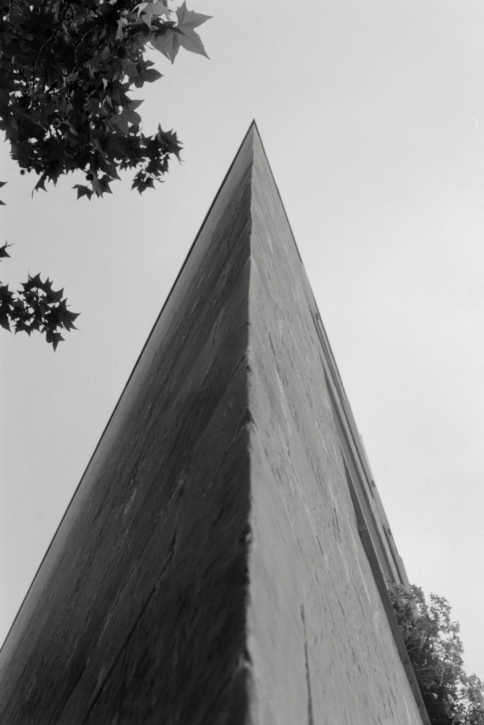 AHP F1995 05 007 sc240826 img27 NLP